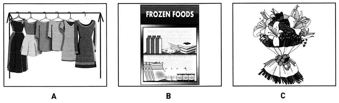 Practice PET (B1) Listening Test 09 With Answers And Audioscripts ...