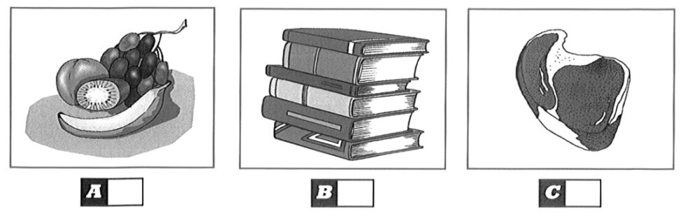 Practice PET (B1) Listening Test 21 With Answers And Audioscripts ...