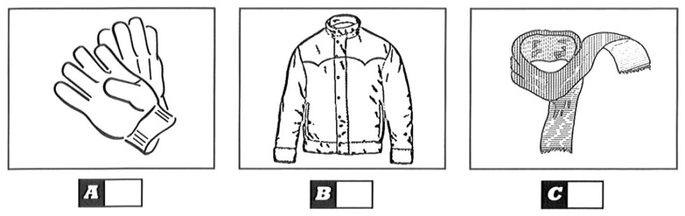 Practice PET (B1) Listening Test 27 With Answers And Audioscripts ...