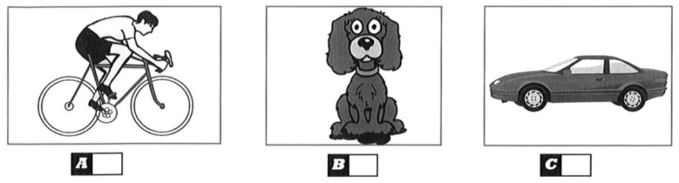 Practice PET (B1) Listening Test 36 with Answers and Audioscripts ...