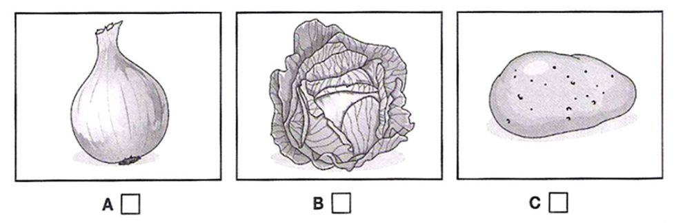 B1 Test Cooking Examples Practice English Listening Test for B1 with answer and audioscript ...